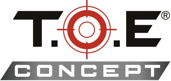 TOE Concept