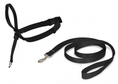 Licol easy walk pour chien taille m couleur noir.jpg