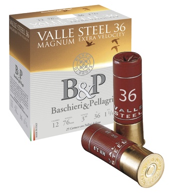 B&P VALLE STEEL 36 N�5 12/76