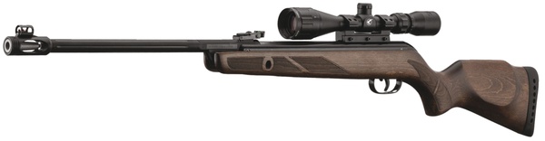 Carabine a plomb Gamo hunter 440 AS 4.5mm