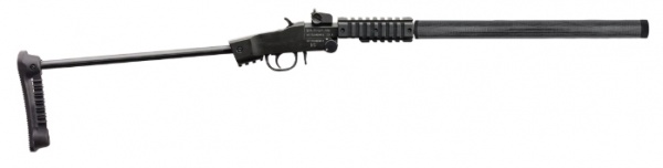 Carabine Chiappa little badger TDX adamantium calibre 22lr canon de 47cm