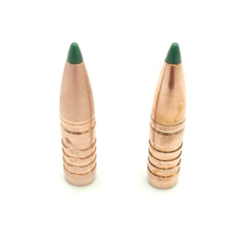 Cartouche Sologne GPA 2 cal 30.06 168 gr 10.9g