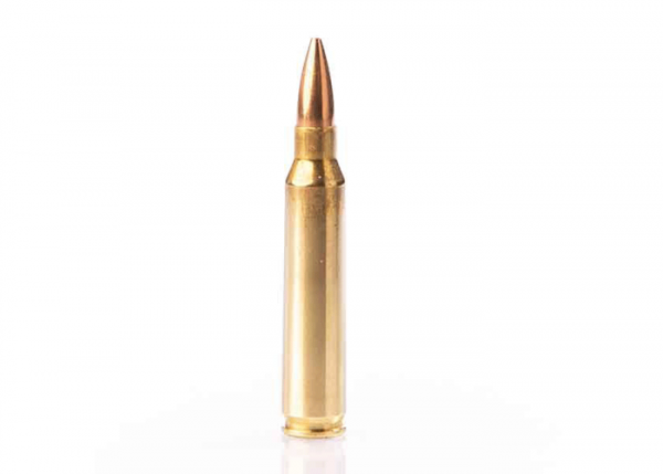 Cartouches FIOCCHI cal 223 rem FMJ 55 gr