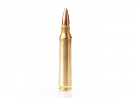 Cartouches FIOCCHI cal 223 rem FMJ 55 gr