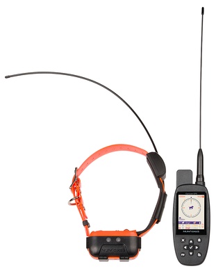 Collier de rep�rage Num\'axes canicom gps 2