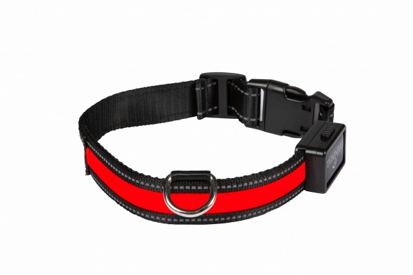 Collier pour chien lumineux taille L