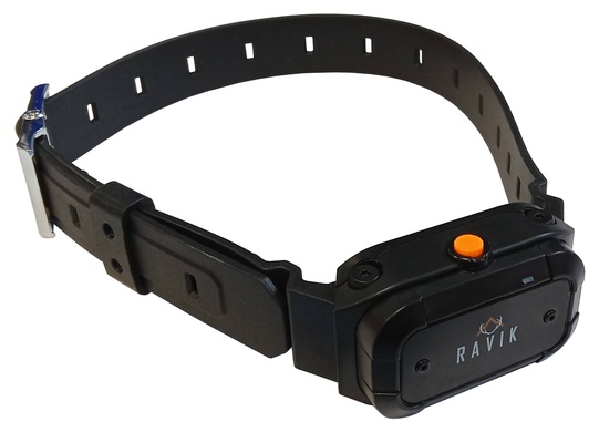 Collier suppl�mentaire de dressage Ravik RV900