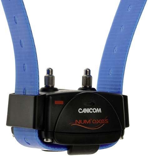Collier suppl�mentaire pour CANICOM 800 - 1500 - 1500 PRO