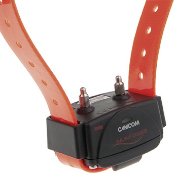 Collier suppl�mentaire pour CANICOM 800 - 1500 - 1500 PRO