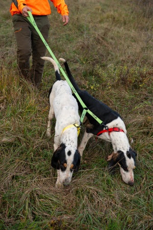 Laisse accouple double Wild Tracker X-Plore 140 cm