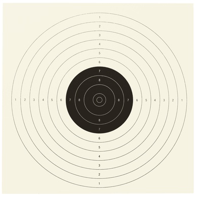 Paquet de 100 cibles ISSF pour pistolet 10M 17x17