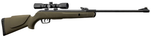 PAXK CARABINE A PLOMB GAMO BIG CAT 1000 4.5 19.9J